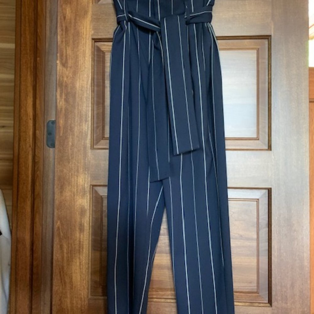 Antonio Melani Pleated Belted Pants Sz 2